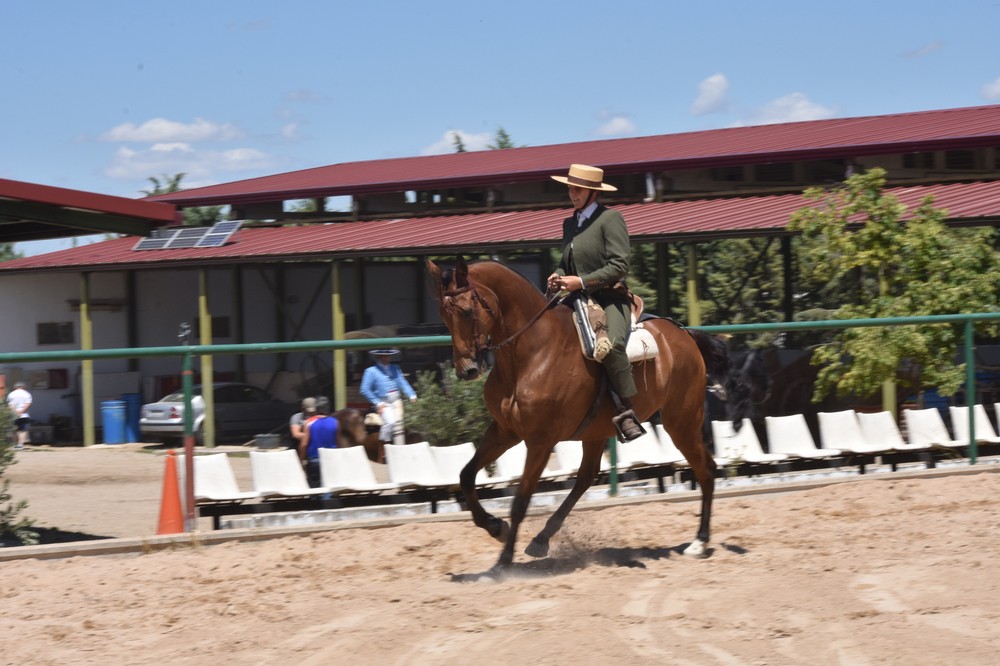 Once binomios alzaron el telón de la Doma Vaquera.